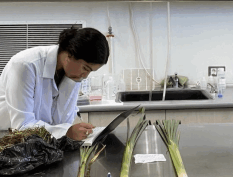 Screenshot 2026-01-02 at 9.51.36 AM